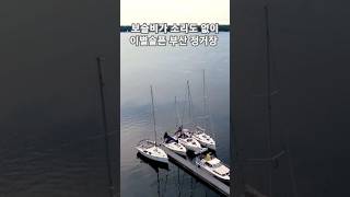 눈물의 기적이 운다 ⛵️⛵️⛵️이별의 부산 정거장 가사첨부 조명섭