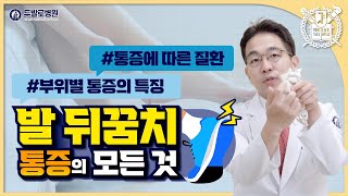 족부정형외과 의사가 알려주는 발 통증별 질환!