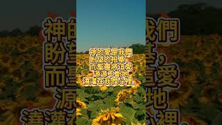 【每日聖經金句】: “盼望中的愛”  (羅馬書5章5節)  # #好消息 #正能量 #情感#每日聖經金句#盼望中的愛#羅馬書5章5節#人生感悟 #分享