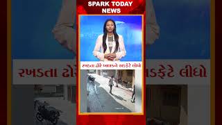 રખડતા ઢોરે બાળકને અડફેટે લીધો 2025 | Spark Today News Vadodara