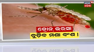 BMC Drone Attack On Mosquito | ରାଜଧାନୀରେ ବୁଡିବ ମଶା ବଂଶ। ଆଉ ମଶା ବଂଶ ନଷ୍ଟ କରିବ ଡ୍ରୋନ | Odia News