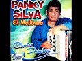 panky silva sendero borrado