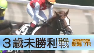 2023/07/29【パドック返し馬つき】新潟7R　３歳未勝利戦　☆ゴーマックス　ダイワメジャー　　＃レースは10分ころから