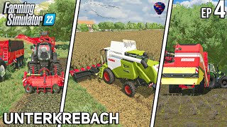 I Harvested 3 Fields at the SAME TIME!!! | UnterKrebach | Timelapse 4 | Farming Simulator 22 - FINAL