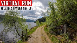 Virtual Run In Relaxing Nature Surroundings in Norway | Virtual Running Videos