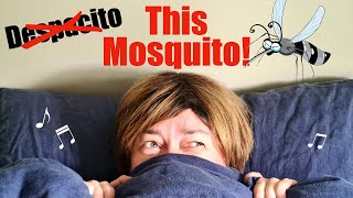 Despacito Parody Song - This Mosquito