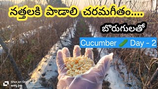 నత్తలకి  పాడాలి  చరమగీతం.... | Mr ఆదర్శ రైతు