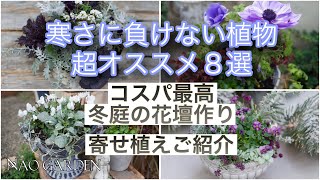 【ガーデニングVlog 】寒さに負けないオススメ植物8選｜コスパ最高の植物で冬庭の花壇作り｜簡単寄せ植えご紹介｜秋庭を振り返って🍂｜8 Winter-Hard Plants