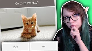 10 NAJPROSTSZYCH PYTAŃ NA ŚWIECIE! - Quizy