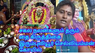 தை கிருத்திகை இரும்புலியூர் பிடாரி இரட்டை செல்லியம்மன் கோயில்thai kiruthigai irumbaliyur chelliamman