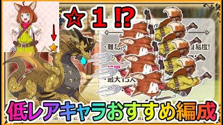 【このファン】新ダンジョン低レアおすすめ編成！サンダードラゴン