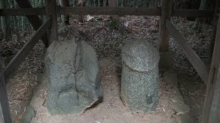 2014.5・飛鳥坐神社～石舞台古墳（Asukaniimasu-jinja Shrine～shibutai-kofun Tumulus）（奈良県明日香村）