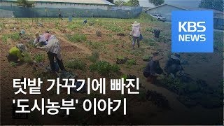 텃밭 가꾸는 ‘도시 농부’ 200만 시대…스트레스·우울증에도 효과 / KBS뉴스(News)