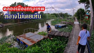 Unseen! Bangkok canal tour เที่ยวคลองในกรุงเทพที่หลายคนอาจไม่เคยเห็น  ธรรมชาติดีมาก