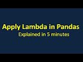 Apply lambda function of Pandas explained in 5 minutes.