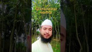 শুক্রবার এ যে আমল আমাদের জীবন পরিবর্তন করে দিতে পারে।