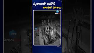 Aghori Pooja In Graveyard | స్మశానంలో అఘోరీ తాంత్రిక పూజలు | ZEE Telugu  News