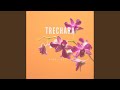 Trechara (Original Mix)