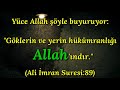 siyaset nedir