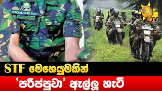 STF මෙහෙයුමකින් 'පරිප්පුවා' ඇල්ලූ හැටි - Hiru News