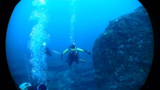 三重県のダイビングスクール　串本ツアー　大自然に満ち溢れる海をオリンパスの水中カメラで撮影