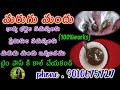 how does the marugu mandu works marugu mandu pettadam ela మరుగు మందు 100%works marugu mandu 💯👍☘️🌿