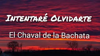El Chaval de la Bachata - Intentaré Olvidarte (Letras)