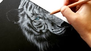 How to draw white fur on black paper-colored pencil | Leontine van vliet