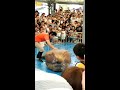 セイウチ、腹筋がんばる（ショート動画）