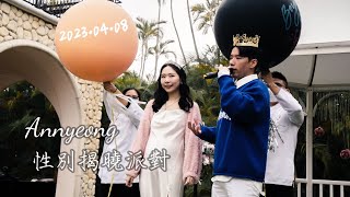 寶寶性別派對！Yuwei老師\u0026阿君 Gender reveal party『是男生？還是女生？』