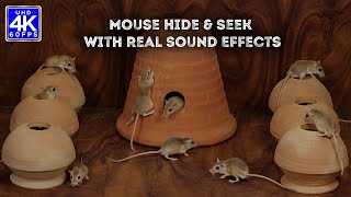 Cat Games on Screen | Mouse Hide and Seek for Cats in Mud Pot | Cat TV | 4k UHD  60FPS