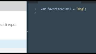 Learn Javascript, String Interpolation, codecademy, Javascript Tutorial