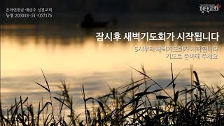 평택교회(성결) 1월 29일 수요일 새벽기도회