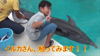 沖縄【美ら海水族館】でイルカ体験（触ったり・エサをあげたり・JUMPの合図）してきました！！