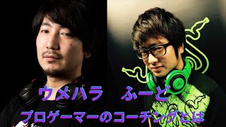 プロゲーマーのコーチングとは【ウメハラ、Daigo Umehara、ふーど】