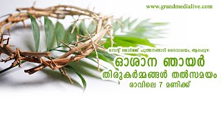 ഓശാന ഞായര്‍ തിരുകര്‍മ്മങ്ങള്‍ തല്‍സമയം GRAND MEDIA LIVE STREAMING SERVICE CALL# 9037296683