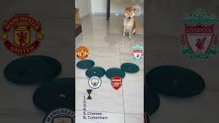 PREMIER LEAGUE 2024/2025 TOP 5 Dog Football Prediction! Champion Arsenal vs Manchester City Soccer ?