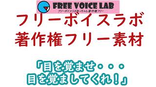 フリー素材「目を覚ませ・・目を覚ましてくれ！」：フリーボイスラボあっちゃん