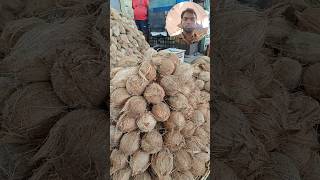 Best Fresh #Coconuts in #Koyambedu #Market: #Affordable #Prices \u0026 #Top #Quality