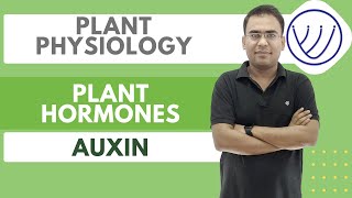 Plant Hormones | Phytohormones | Plant Growth Regulators | CSIR | GATE | SET | NILESH SONI