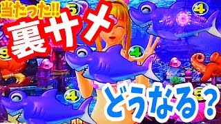 噂の裏サメ当たり‼さて、どうなるのか？【海物語59話】【大海4　海物語IN沖縄4 桜】