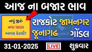 રાજકોટ, ગોંડલ, જામનગર, જૂનાગઢ | 31 01 2025 | આજ ના બજાર ભાવ | Khedut bhai aaj na bajar bhav | Gondal