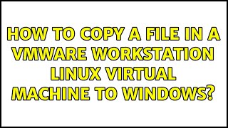 How to copy a file in a VMware Workstation Linux virtual machine to Windows? (2 Solutions!!)