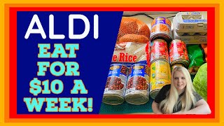 How to Eat for $10 a Week | Aldi Budget Meal Plan | Emergency Grocery Haul