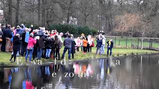 Nieuwjaarsduik Nieuwjaarsdag 2018