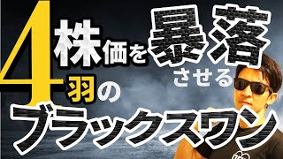 株価を暴落させる『４羽』のブラックスワン発見！！米国株に日本株、為替にビットコインの未来が見える驚愕の10分間！！