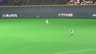 佐藤輝明がレーザービーム発射！【侍ジャパン対オーストラリア】WBC強化試合in札幌ドーム 2022年11月9日