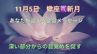 11月5日蠍座新月〜あなたが迎える変容とは？深い部分からの目覚めを促すメッセージ〜