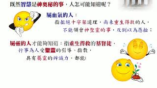 保羅書信 (繁體)：15 (林前) 論福音的中心