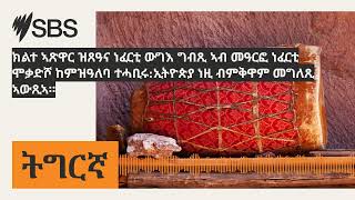 ክልተ ኣጽዋር ዝጸዓና ነፈርቲ ውግእ ግብጺ ኣብ መዓርፎ ነፈርቲ ሞቃድሾ ከምዝዓለባ ተሓቢሩ:ኢትዮጵያ ነዚ ብምቅዋም መግለጺ ኣውጺኣ። | SBS...